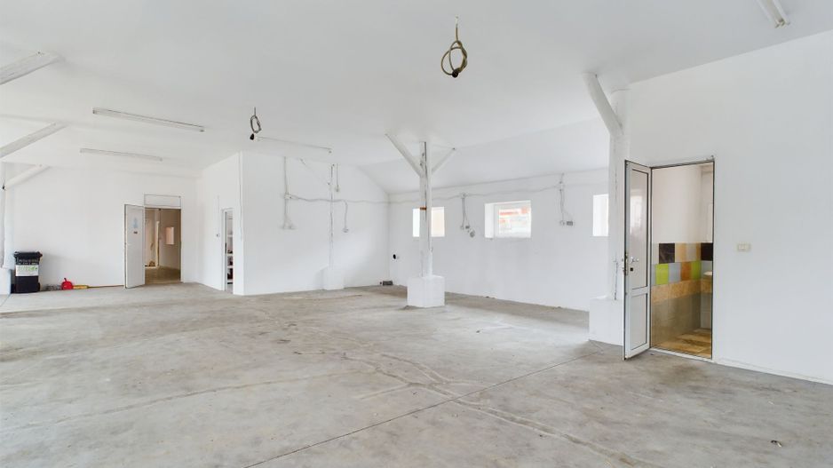 Spații depozitare/producție Moșnița Nouă - Poză 9