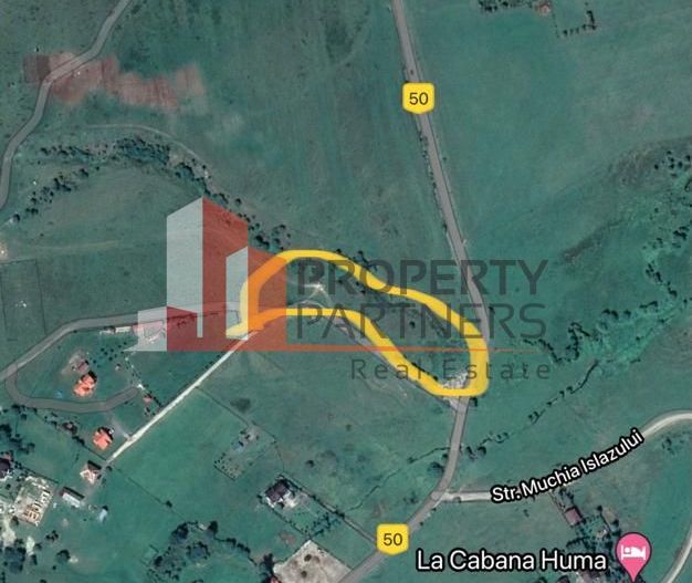 Teren Sohodol 10.000 mp - Poză 7