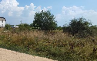 TEREN 4000 M CRISUL REPEDE - Poză 4