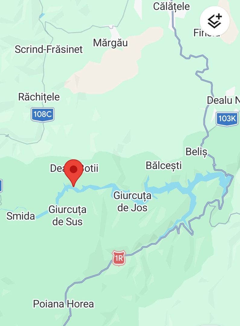 Teren intravilan, 3040 mp, Dealu Botii, com Belis, Comision 0 - Poză 7