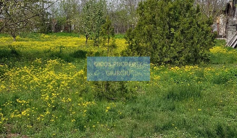 Teren 2.600 mp, utilități, Str. Merișor – Giurgiu - Poză 10