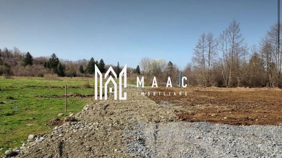 TEREN INTRAVILAN 4007 MP I VALEA AVRIGULUI - Poză 2