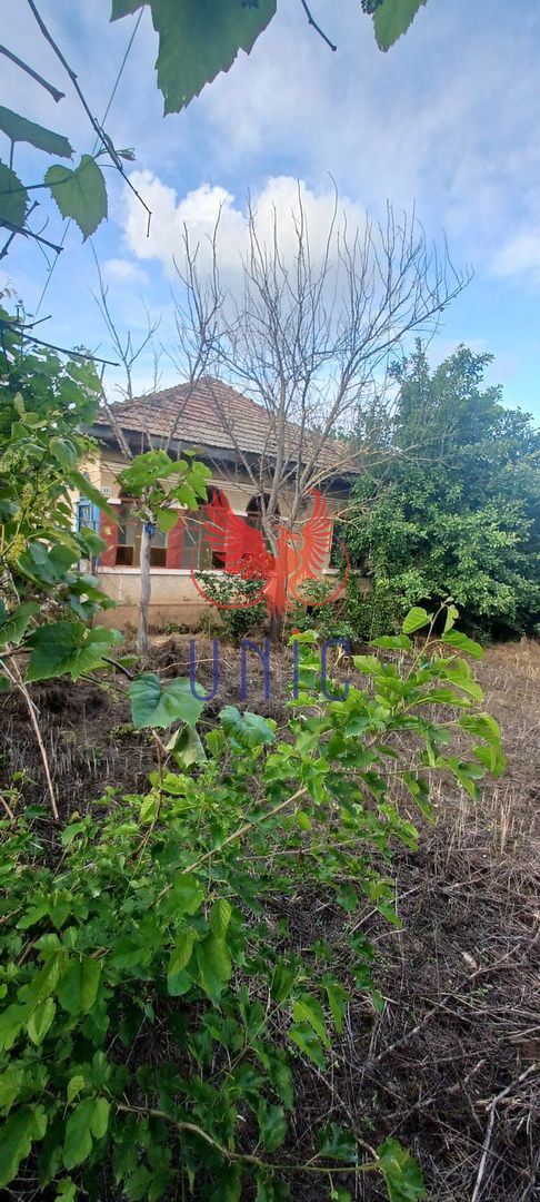 Casa cu teren de 1969 mp - Amarastii de Jos - Poză 1