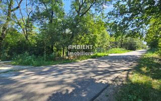 INVESTIȚIE!! Teren intravilan 5.000 mp, zona BĂLTENI - Padure; - Poză 3