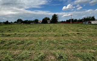 Casă cu 3500 mp teren, Sat Miron Costin - Brănișteni (str. Macilor) - Poză 12