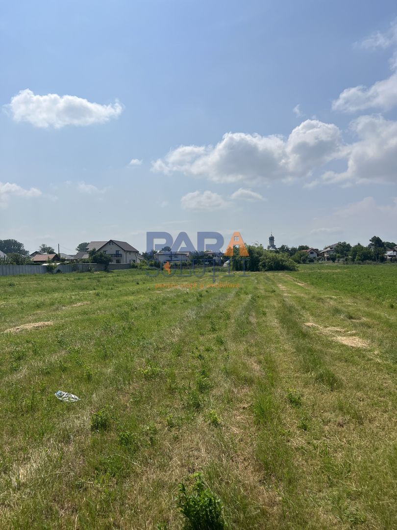 5200 mp intravilan - Str Viitorului (zona Abator) - Poză 5