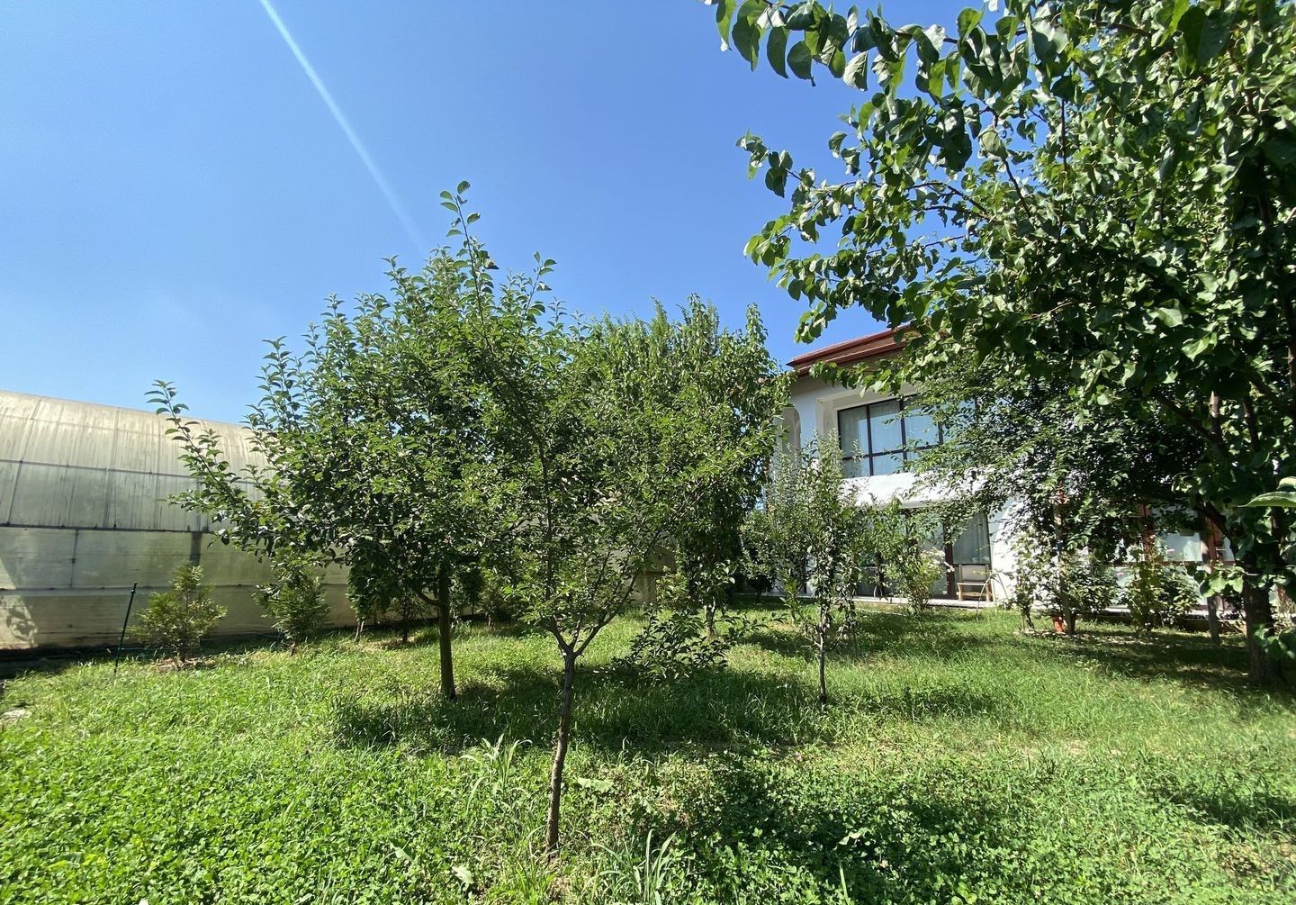 Vilă cu 6 camere de închiriat | Snagov - Vlădiceasca | Pet Friendly - Poză 16