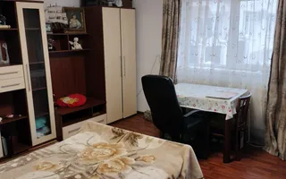 Casa verde de închiriat  Săliște I Sibiu - Poză 23