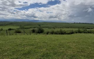 De vanzare, teren 11.500 mp – Dealul Dăii,  Vedere panoramică spre munți și lac - Poză 8