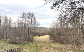 Teren extravilan agricol 1.184 mp | Sibiel | utilități la 100 m - Poză 6