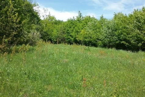 teren intravilan Valcele judet Covasna - Poză 3