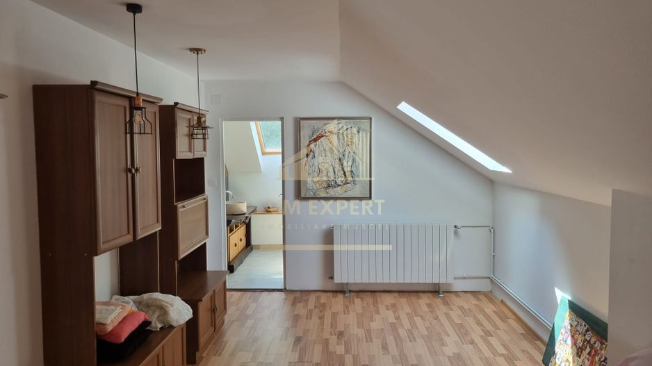 CONAC BEREVOIESTI CU TEREN 8670 MP INTRAVILAN, PRET 200000 EURO - Poză 3