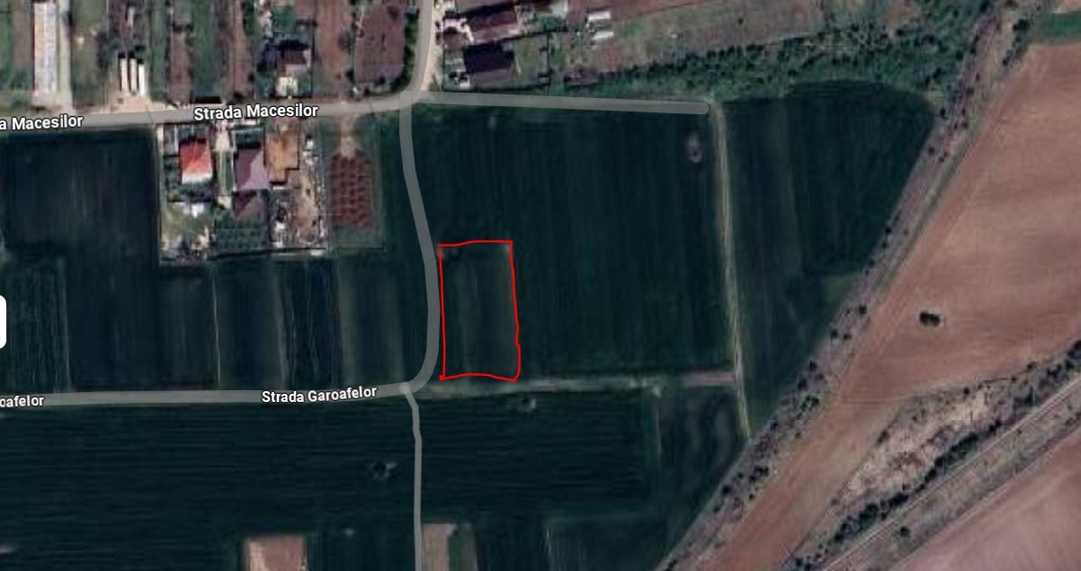 Intravilan pozitie excelenta - 15 minute de capitala - Poză 3