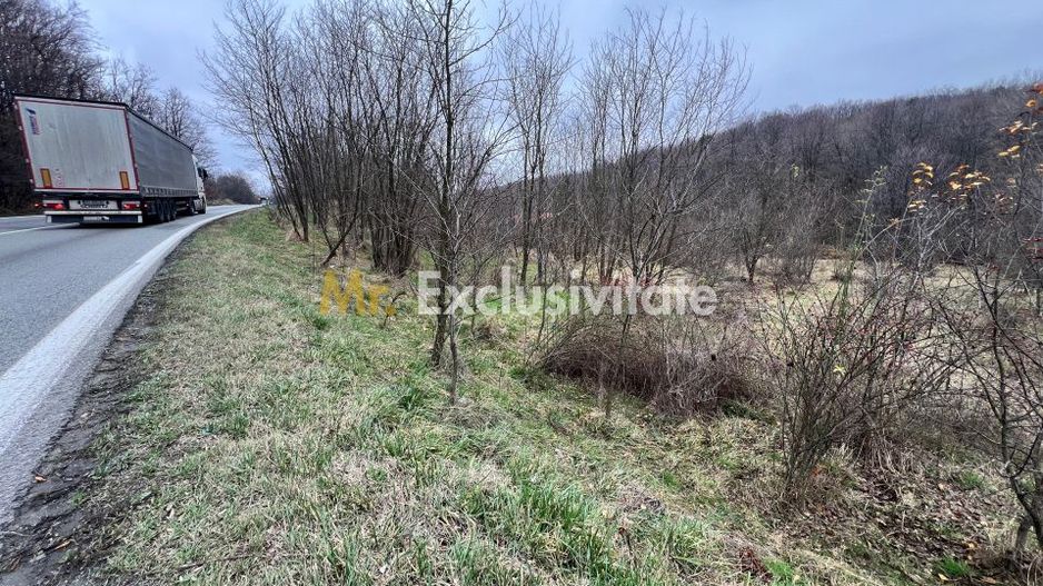 Teren intravilan 6.500 m²–Deschidere 144 ml drum european E81, km 35, Morăresti - Poză 2