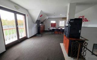 De Vânzare Casă P+M str Vulturului SM - Poză 8
