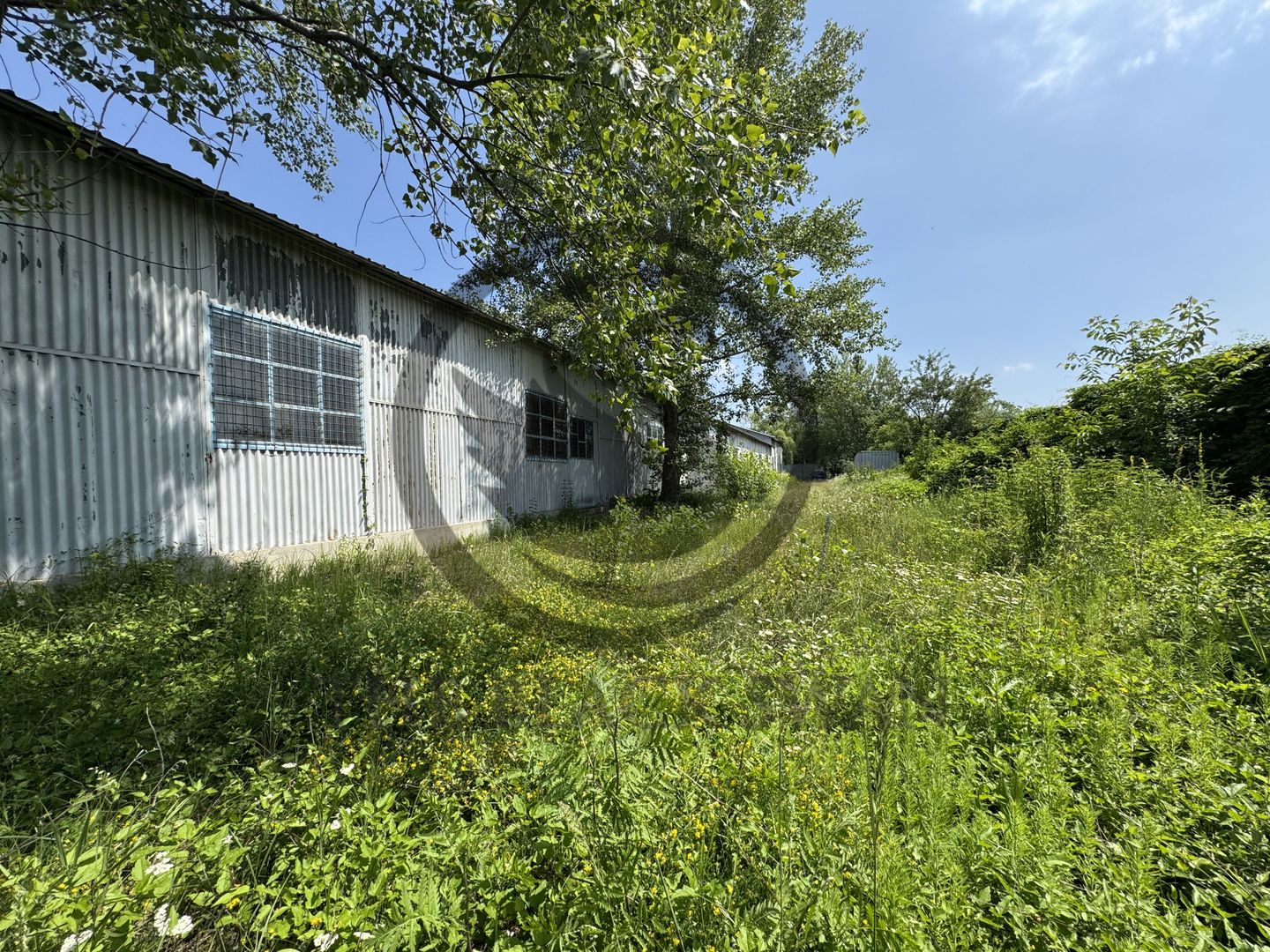 Hala de vanzare | 1.100mp I Boldesti-Scaieni - Randament anual 10% - Poză 7