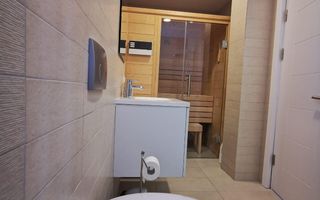 VILA CU 7 CAMERE IN COMPLEX LA INCHIRIERE/VANZARE IN IANCU NICOLAE - Poză 18