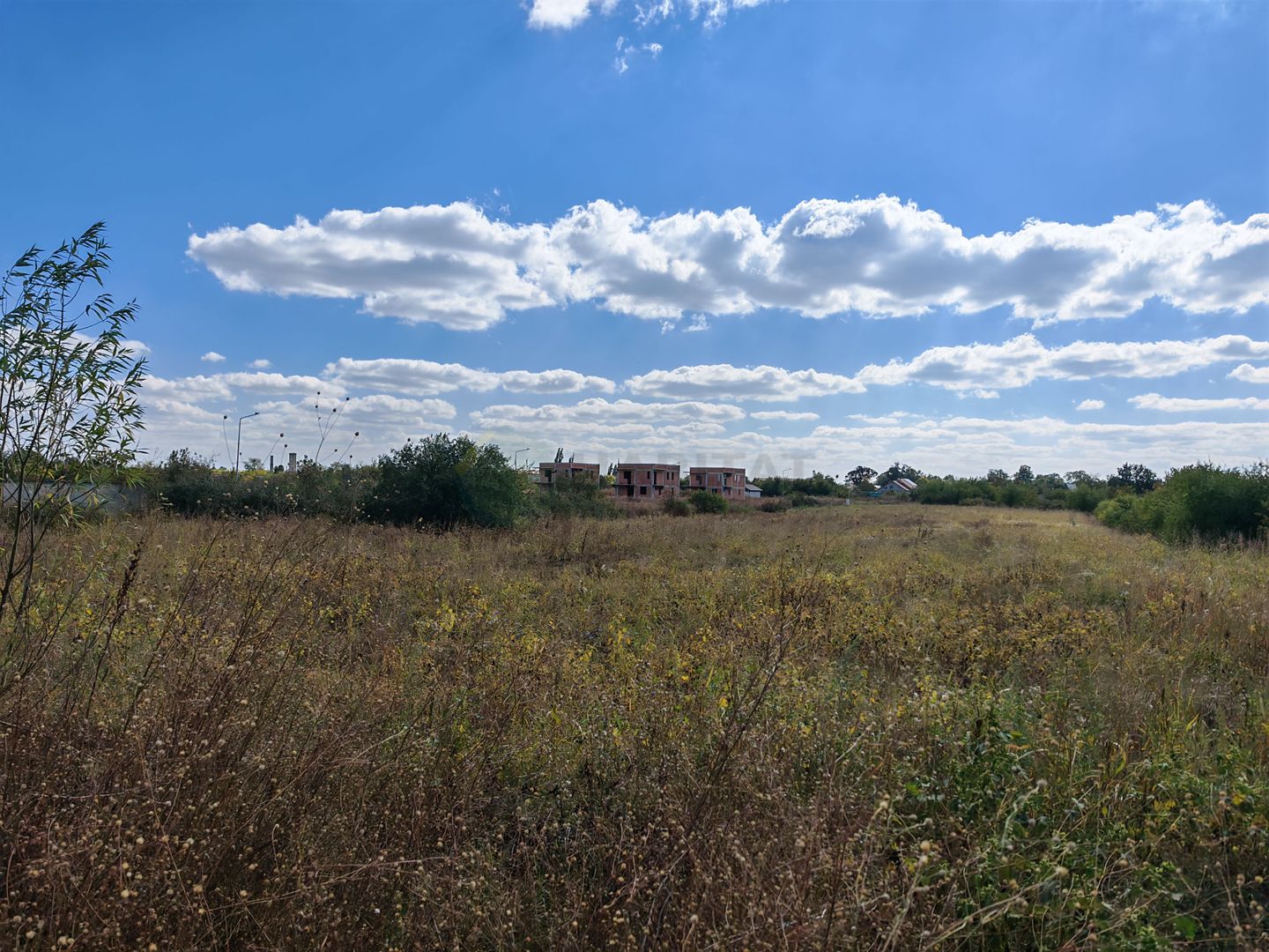5.900 mp pentru Dezvoltare Rezidențială – Str. Polonă, Periș - Poză 6