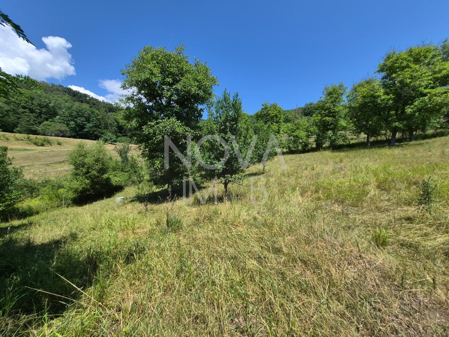 Casa individuala cu teren generos – 8.356 mp – Tichindeal, jud. Sibiu - Poză 45