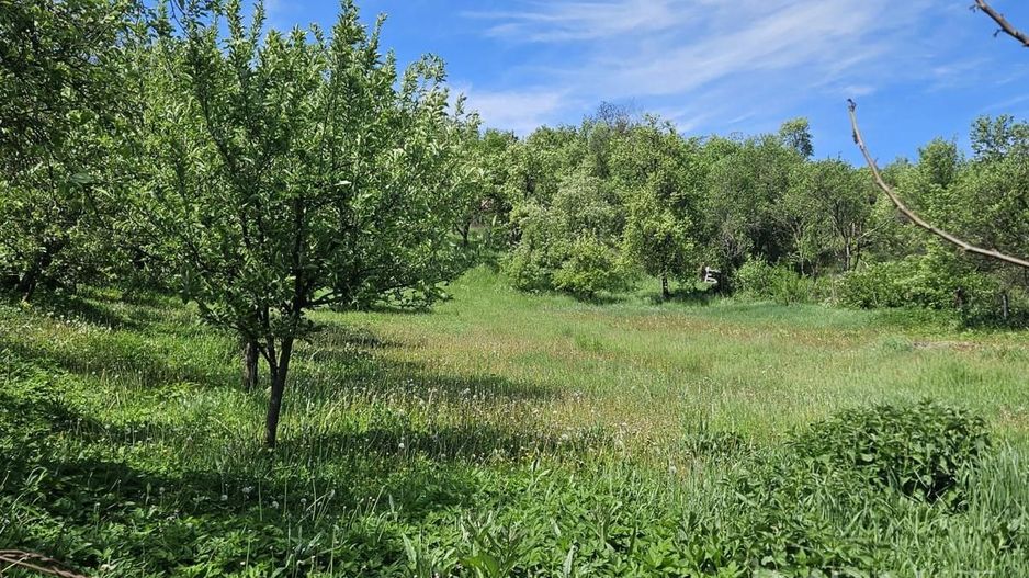 Casa de vânzare, în Petrindu, jud. Sălaj! - Poză 9