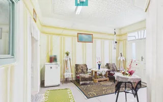 Casă cu teren 4065mp în Dorobanți, județul Arad - Poză 13