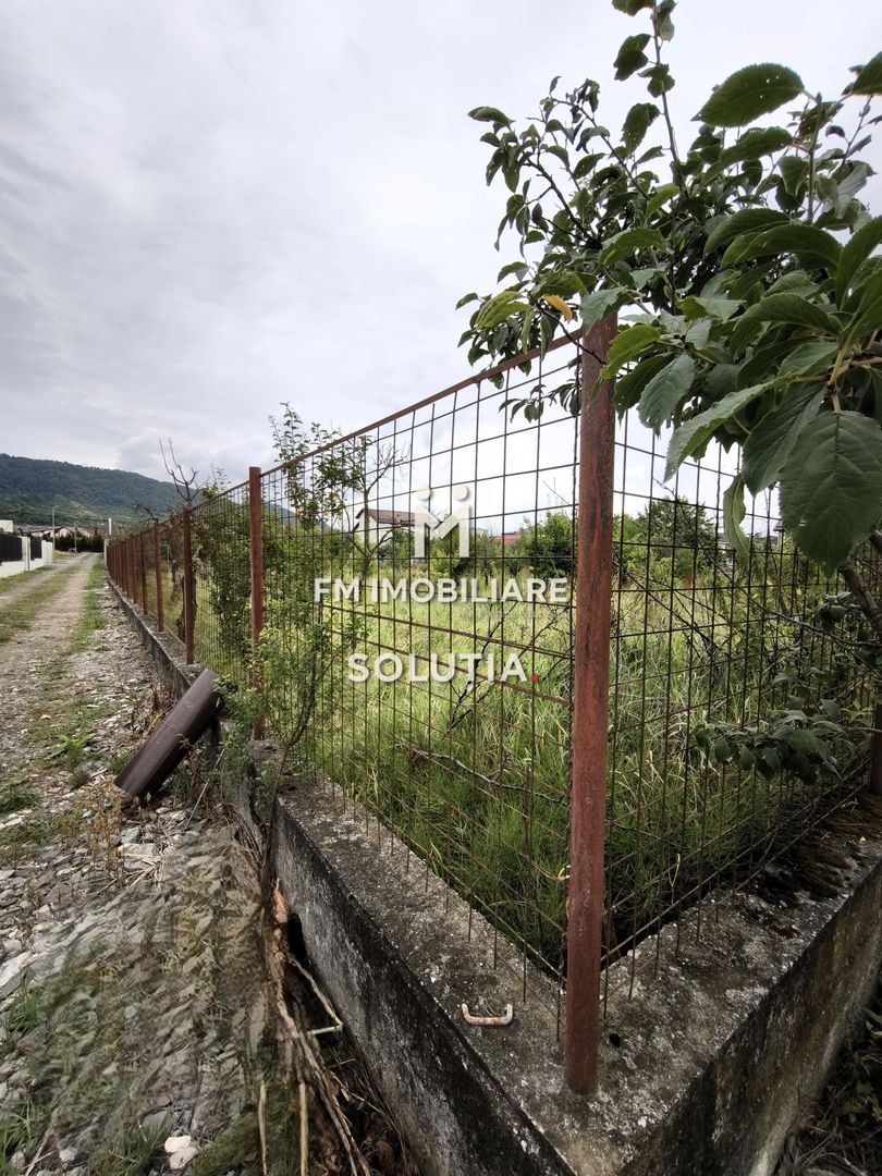 Teren intravilan 891 mp – zona Mărul de Aur - Poză 6
