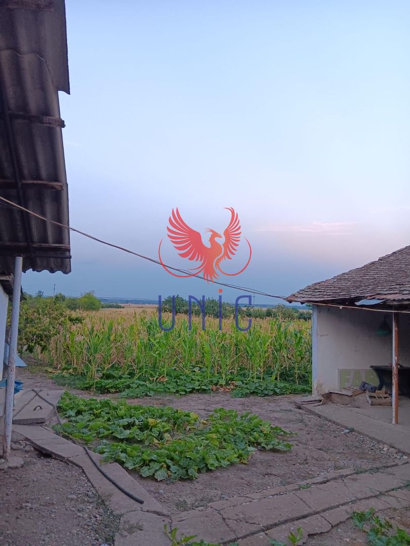 Casa cu teren de 3300mp , Gura Vaii! - Poză 19