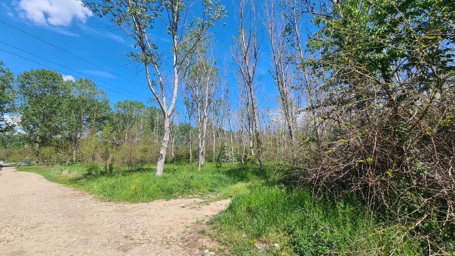 Teren de vanzare / Dem Radulescu - Poză 6