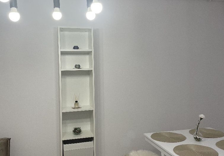 Apartament 2 cam utilat si mobilat in  HILS  PALLADY - Poză 6