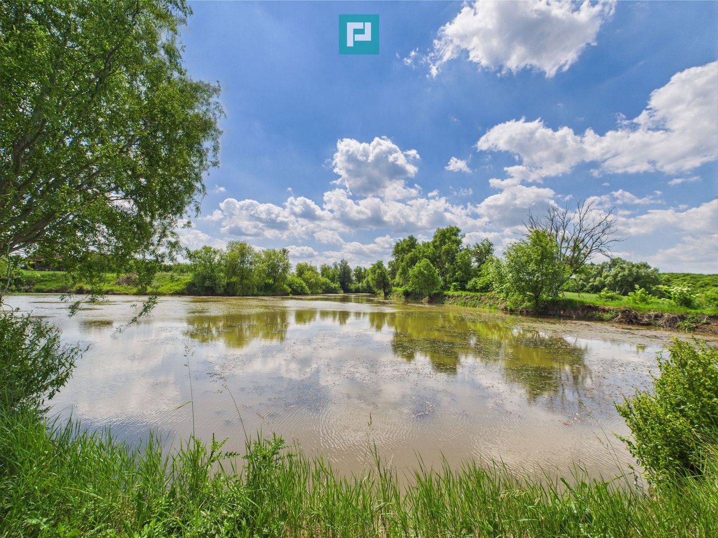 Teren cu baltă- oportunități multiple la Fibiș - Poză 27