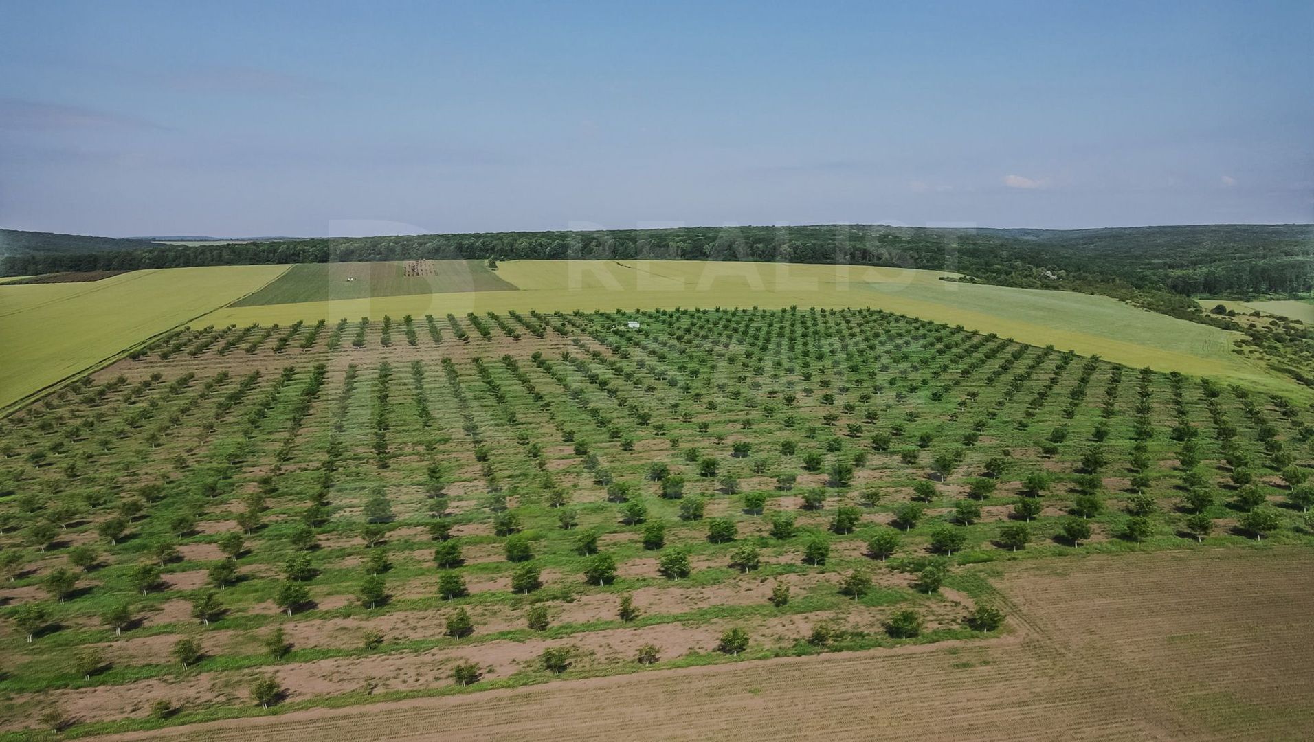 Vînzare, teren agricol, 25,3 ha, s. Peresecina, Orhei. - Poză 2