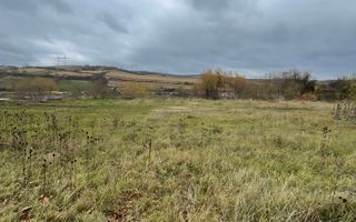 Teren 720 mp| Intravilan |Șura Mare - Poză 4