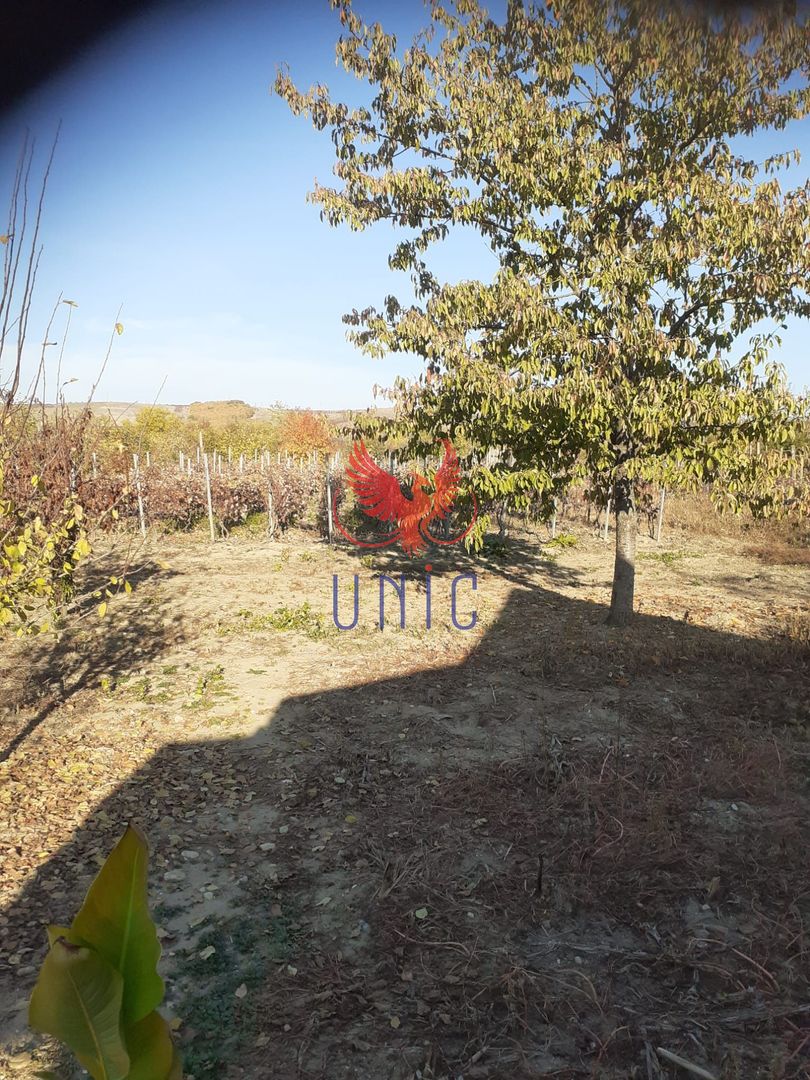 Casa Bradesti, teren 1239 mp - 29 995 Euro - Poză 5