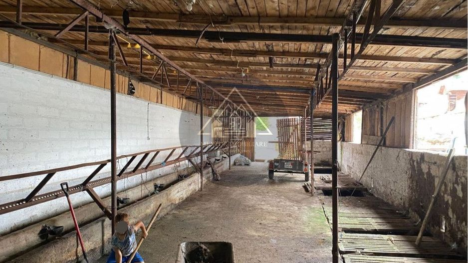 Fermă de vanzare - Poză 7