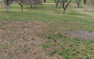 Teren 1400 mp | Valea Mărului | Parcelabil | Cabane / Retreat în natură - Poză 2