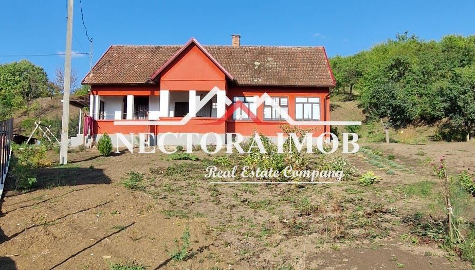 NECTORA IMOB-Casa Zona Podgoria cu 3 incaperi, 1700 mp teren,tip Conac - Poză 2