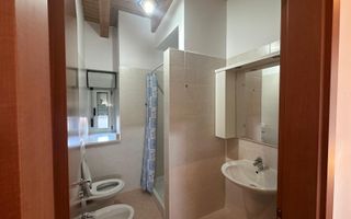 Penthouse deosebit de 120 mp si parcare privata - petfriendly in Torontalului - Poză 16