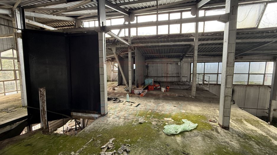 Hala In oras str Traian eligibil program "Tranzitie Justa" - Poză 3