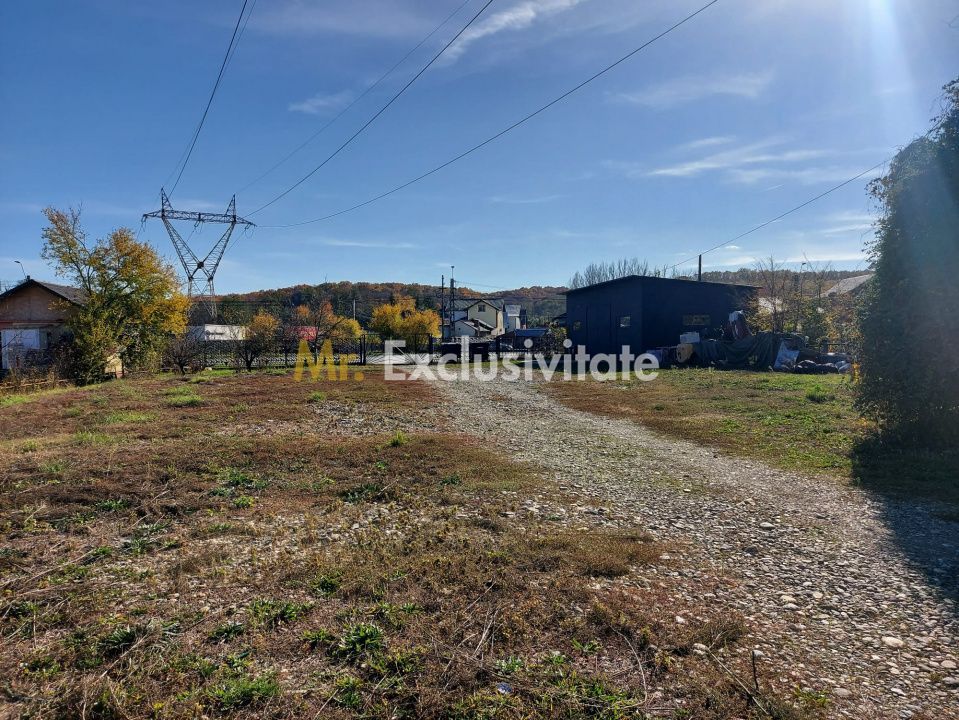 De închiriat: Hale si locuință pe 3 000 mp/ Bascov - Argeș - Poză 10