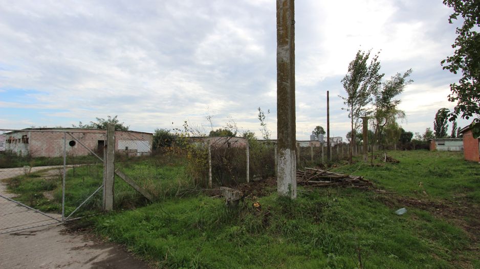 Vanzare hale Mosnita Noua-fosta Ferma 7 - Poză 29