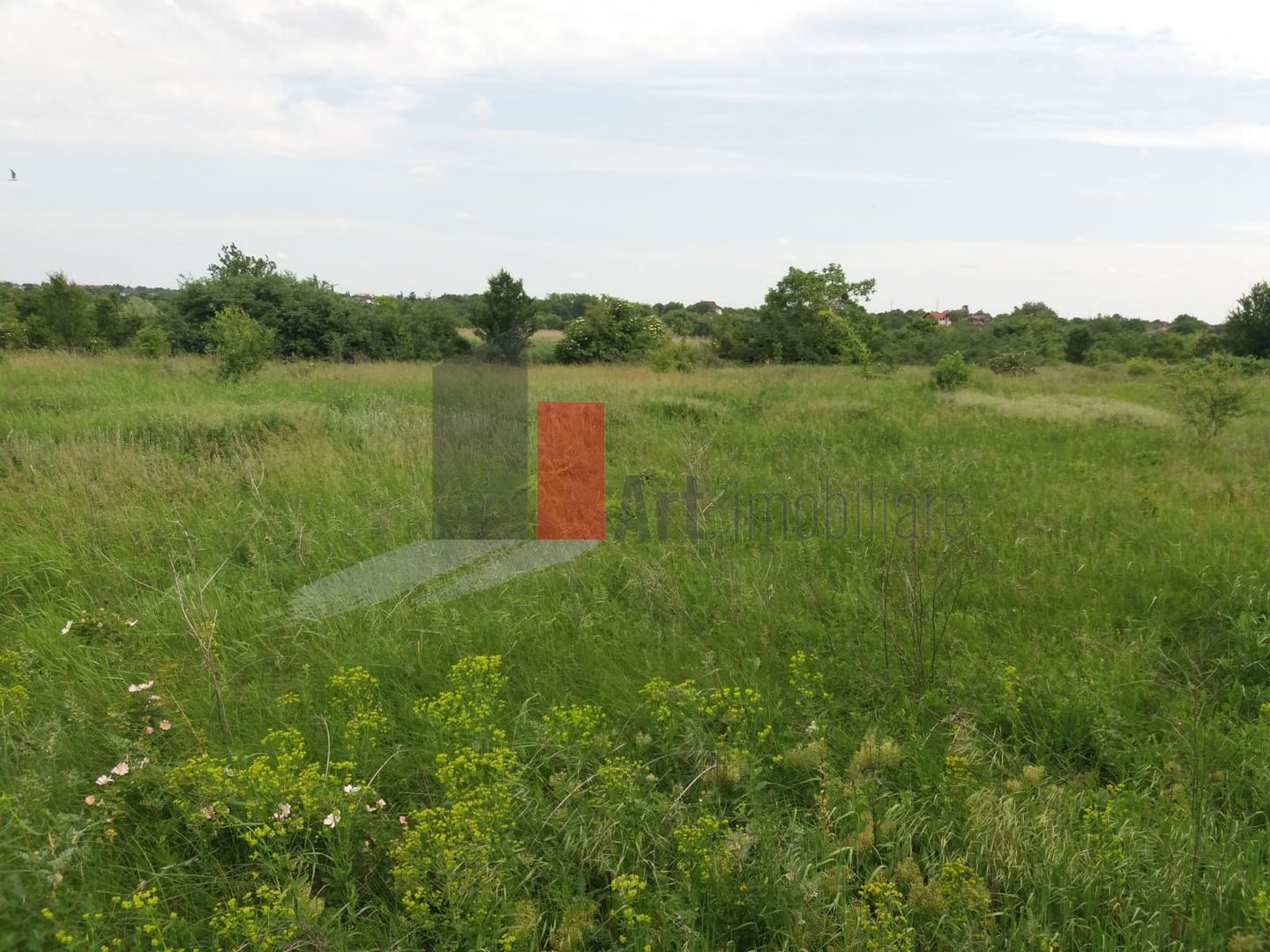 Teren Buftea cu iesire la lac - Poză 15