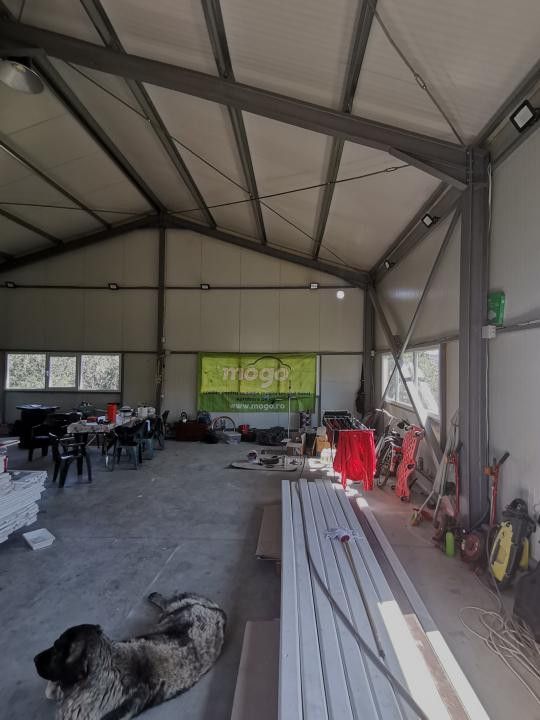 Vanzare hala si teren, Maracineni - Poză 3