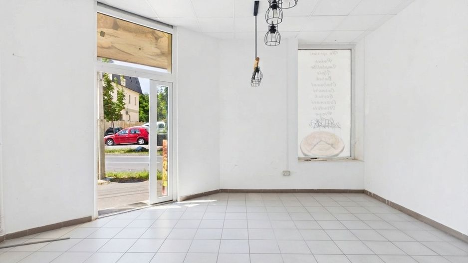 Casă 3 camere, garaj+Spațiu Comercial în Freidorf - Poză 24