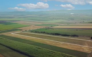 Teren extravilan | 19.000 mp | Ghidfalău - Poză 9