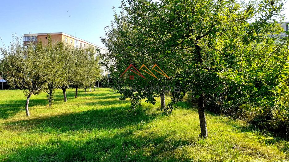 Casa 3 camere, teren 3625 mp, toate utilitatile, Sacele, Brasov - Poză 4