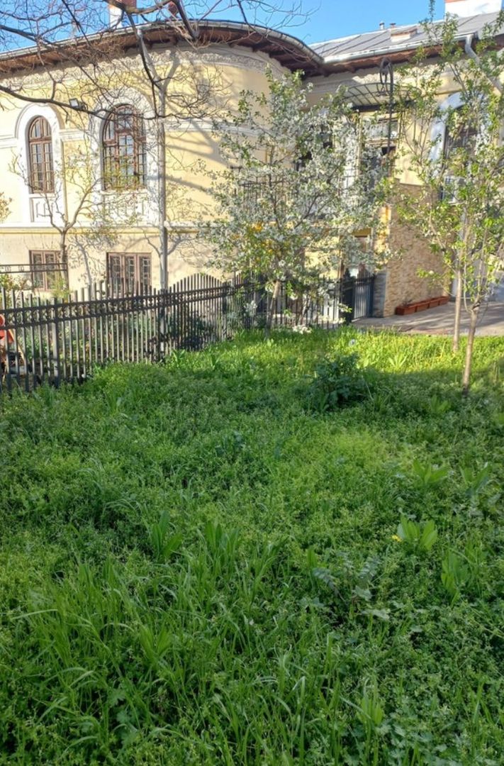 Spațiu birouri Timpuri Noi T517 - Poză 3