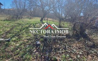 Teren INTRAVILAN Zona N. Beldiceanu - Dealurile Oradiei, Front 27ml - Poză 8