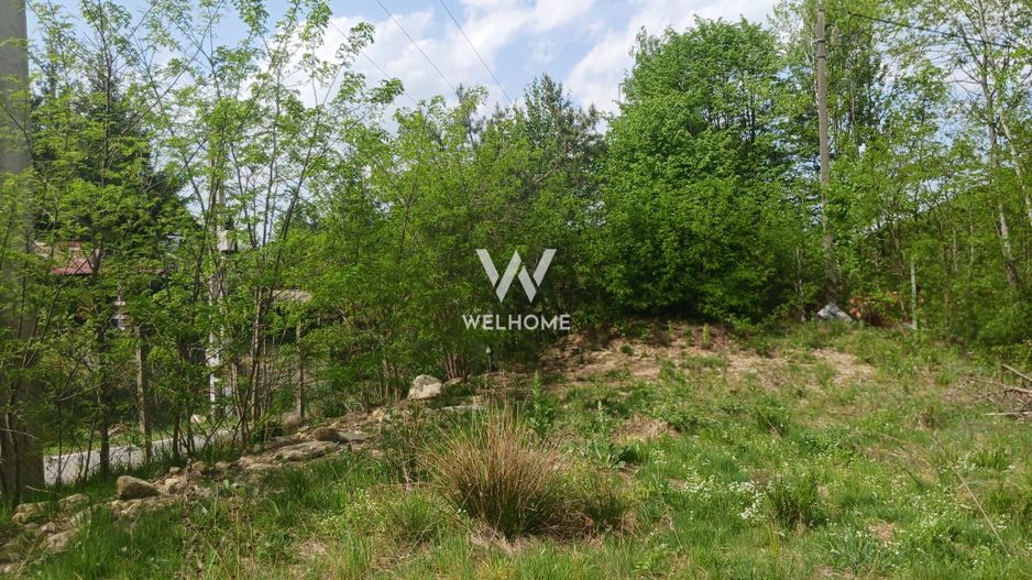 Teren Extravilan situat la intersectia DN1 cu Transfagarasan - Poză 5