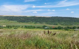 Tren in zona Copou Iasi, Numarul de - Poză 5
