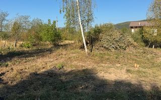 TEREN INTRAVILAN, CAMPULUNG,  2691 MP - Poză 27